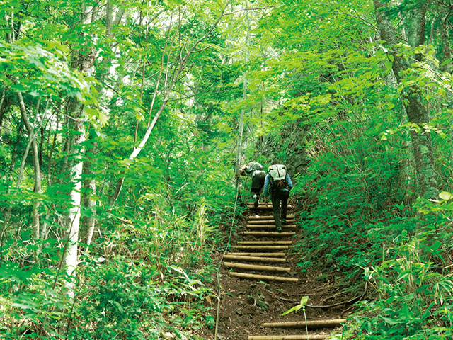 札幌岳・八剣山（軽登山）